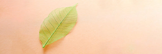 Bio vs. Naturel : Tout savoir sur le maquillage et les vernis à ongles