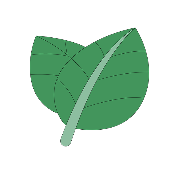 Icone Ingredient naturel